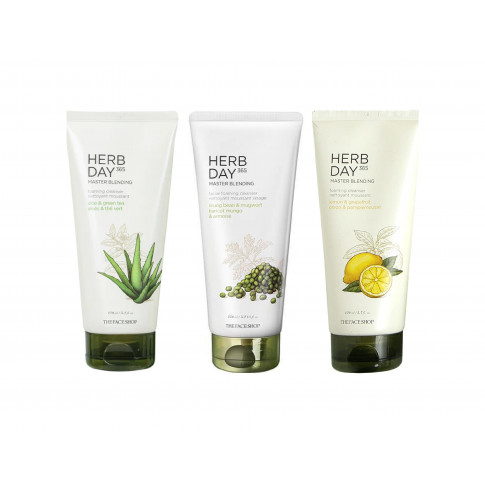 The Face Shop Herb Day 365 Master Blending Foaming Cleanser